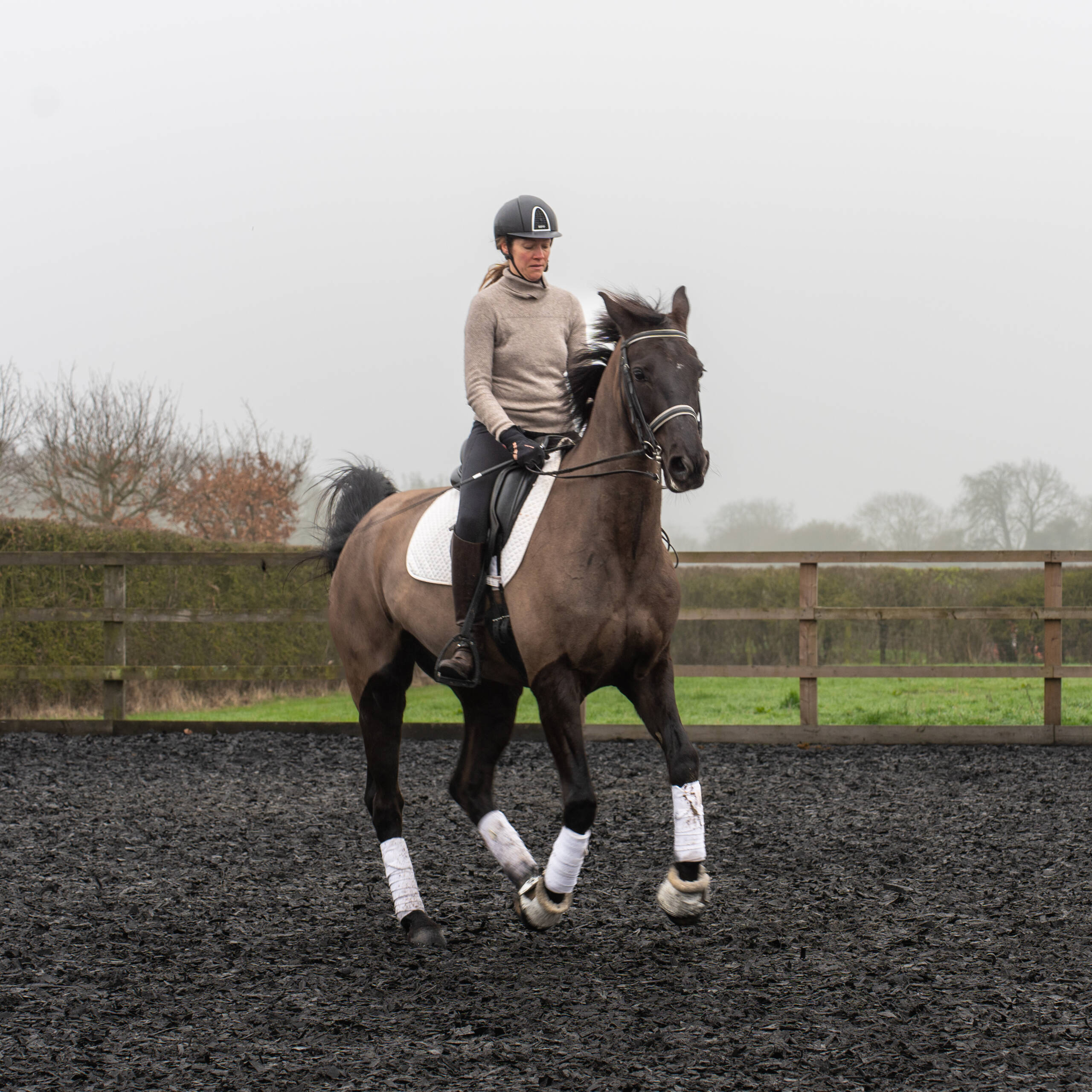 horse and rider during a dressage lesson in Hertfordshire outdoor training arena
